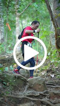 BIB:  <button type="button" onclick="openModal(27644660)" class="btn btn-primary btn-sm float-right" data-toggle="modal" data-target=".modal-high-quality">
                <i class="fa fa-download"></i> Download
                </button>